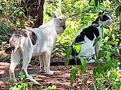 -白云山风景名胜区