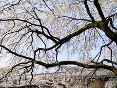 -醍醐寺