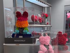 -ROSEONLY诺誓(广州K11店)