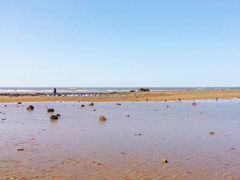-刘家湾赶海园