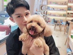 -Pets First伊珊娜洗护·精致美容·家庭式寄养(新会路店)
