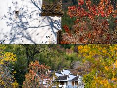 -塔川景区