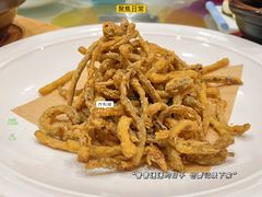 -欢乐海岸美食联盟