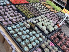 -李村大集
