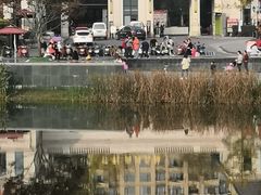 -两河城市森林公园