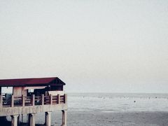 -奉贤海滩