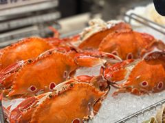 -广州天河合景福朋喜来登酒店