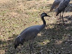 -艾溪湖湿地公园