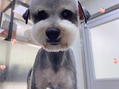 -佳雯宠物医院(金华南路分院)