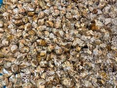 -三亚火车头万人海鲜广场