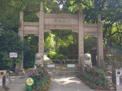 -镇江市南山风景名胜区竹林景区