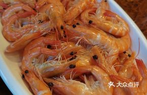 Large Live Shrimp