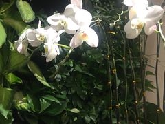 -渔藤(万柳东路店)