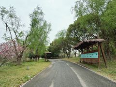 -梁鸿国家湿地公园