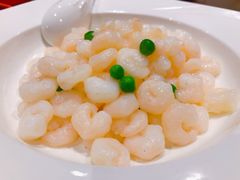 -乔家栅(襄阳南路店)