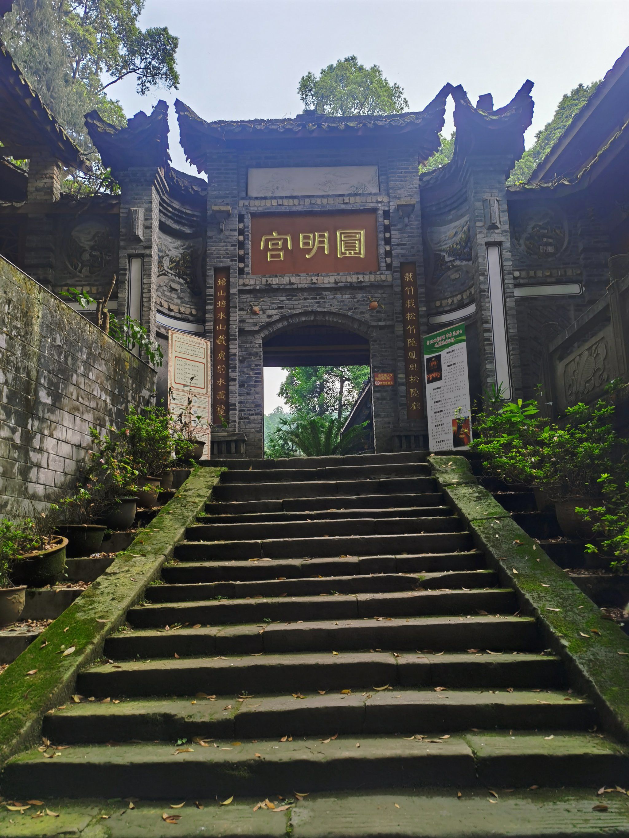 青城山深处,体验道观生活