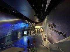 -武汉园博园(武汉自然博物馆)