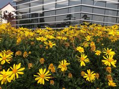 -金山城市沙滩-停车场