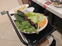 -蝎王府羊蝎子(朝阳北路店)