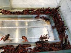 -川骄海鲜自助(河东店)