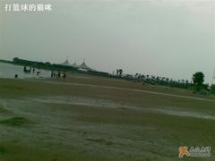 -碧海金沙