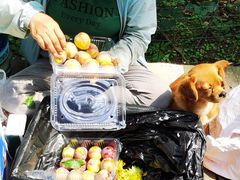 -帽儿山国家森林公园