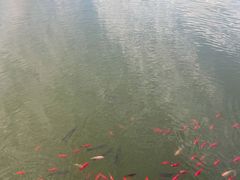 -迎泽公园