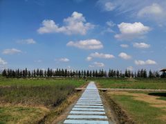 -嘉北郊野公园