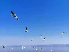 -抚仙湖禄充风景区