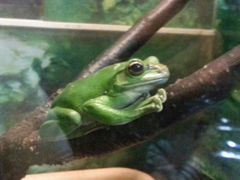 android_upload_pic-上海大自然野生昆虫馆