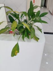 -邢台妇产医院