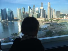 -新加坡文华东方酒店