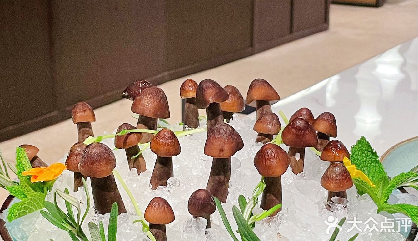 佛山创产宝藏店｜这家值得细细品尝的明星火锅店