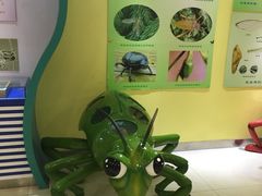 -上海昆虫博物馆