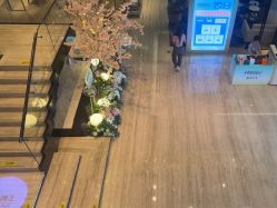-四川米兰柏羽医学美容医院