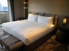 -新加坡瑞士史丹福酒店