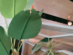 -湊湊火锅·茶憩(皇姑万象汇店)