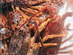 -万龙洲海鲜(大兴绿地缤纷城店)