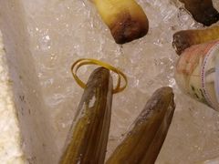 竹蛏王-鲜入围煮花胶鸡海鲜火锅