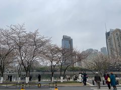 -西北湖绿化广场