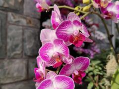 -北京植物园-展览温室