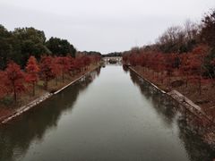 -上海海湾国家森林公园