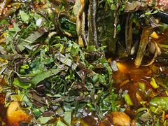 -乐山第一家临江鳝丝(茶坊路店)