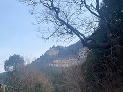 -佛慧山