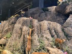 -陕西自然博物馆