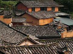 -杨家堂村