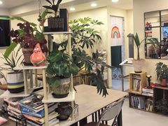 -阿九笨鸡蛋手擀面(总店)