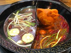 萌宠小Kitty鸳鸯锅-渝大龙重庆火锅(温泉月亮湾店)