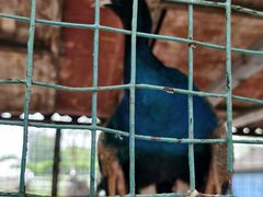 -南通洲际绿博园