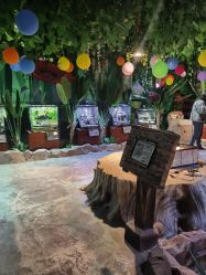 -酷嗒动物文化乐园(cutezoo西溪乐天城店)